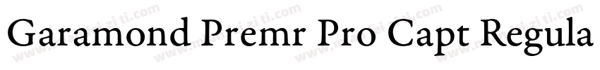 Garamond Premr Pro Capt Regular字体转换